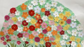 2025.6.1(日) 掲示板・花