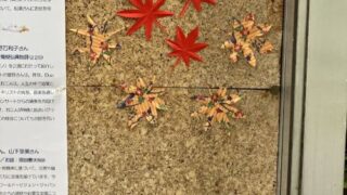 2025.11.1(土)掲示板